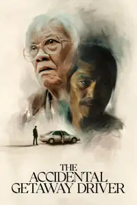 In fuga per caso (2025) - Film Streaming HD