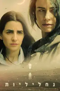 Fireflies (2025) - Serie TV Streaming HD