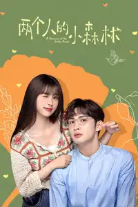 两个人的小森林 (2022) - Serie TV Streaming HD