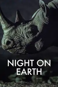 Notte sul pianeta terra (2020) - Serie TV Streaming HD