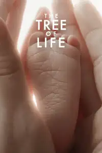 The Tree of Life (2011) - Film Streaming HD