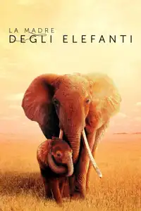 La madre degli elefanti (2019) - Film Streaming HD