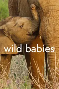 Cuccioli nella natura (2022) - Serie TV Streaming HD