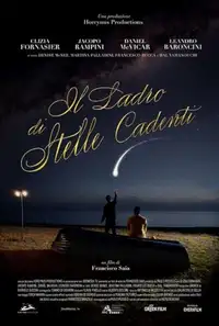 Il ladro di stelle cadenti (2024) - Film Streaming HD