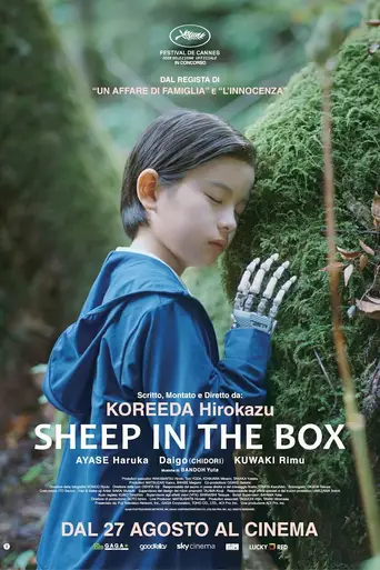 Sheep in the Box anteprima